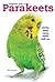 A Beginners Guide to Parakeets