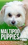 Maltipoo Puppies: Essential Facts, Choosing A Breeder, and Why This Is A Favorite "Designer Dog"