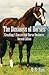 The Business of Horses: Creating a Successful Horse Business Second Edition