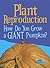 Plant Reproduction: How Do You Grow a Giant Pumpkin? (Show Me Science: Raintree Perspectives)