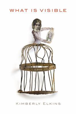 What Is Visible (Hardcover)