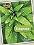 Leaves (Plant parts)