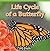 Life Cycle of a Butterfly