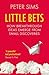 Little Bets: How breakthrough ideas emerge from small discoveries