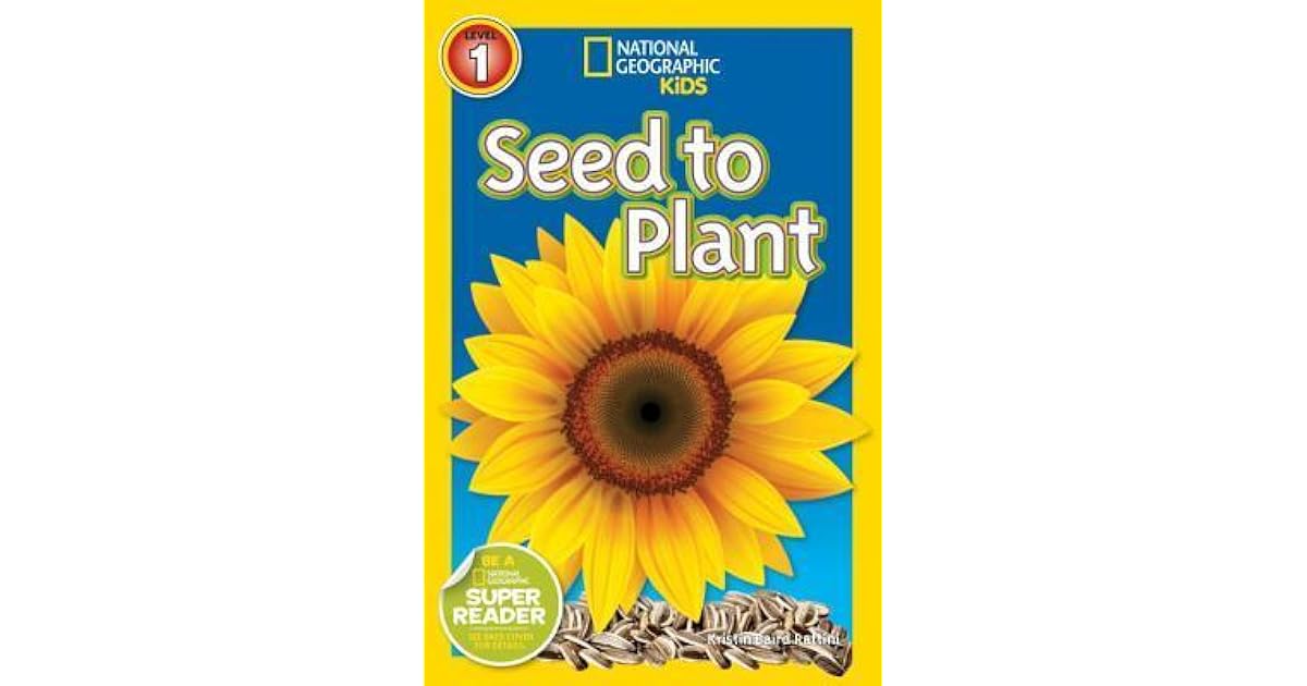 Seed To Plant By Kristin Baird Rattini