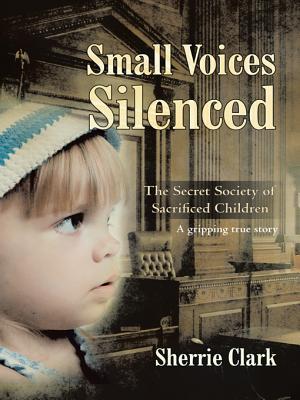Small Voices Silenced: The Secret Society of Sacrificed Children (Kindle Edition)