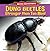Dung Beetles: Stronger Than Ten Men!