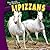 Lipizzans