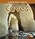 Caves (Learning about Landforms)