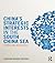China's Strategic Interests in the South China Sea: Power and Resources