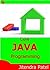Core Java Programming