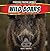 Wild Boars