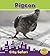Pigeon: City Safari (Heinemann Read and Learn: City Safari)