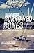 Borrowed Bones (Brad Stout Adventure, #4)