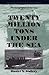 Twenty Million Tons Under the Sea