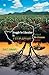 Struggle for Liberation in ZIMBABWE: The Eye of War Collaborator (Mujibha)