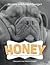 Honey: The True Story of Re...