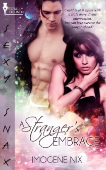 A Stranger’s Embrace (ebook)