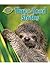 Three-Toed Sloths