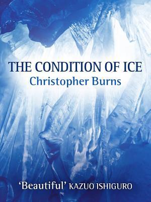 The Condition of Ice (Kindle Edition)