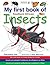 My First Book of Southern African Insects