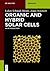 Organic and Hybrid Solar Cells (de Gruyter Textbook)