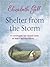 Shelter from the Storm