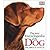 The New Encyclopedia of the Dog by Bruce Fogle