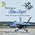 Being a Blue Angel: Every K...