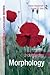 Understanding Morphology