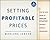 Setting Profitable Prices + Website: A Step-By-Step Guide to Pricing Strategy--Without Hiring a Consultant