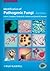 Identification of Pathogenic Fungi