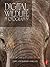 Digital Wildlife Photography