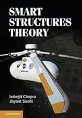 Smart Structures Theory