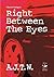 Right Between The Eyes (A Shaun Riker Investigation) (Shaun Riker series Book 2)