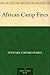 African Camp Fires