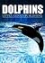 Dolphins - All about Dolphi...
