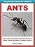 Ants - Fun and Fascinating ...