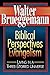 Biblical Perspectives on Evangelism by Walter Brueggemann