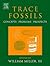 Trace Fossils: Concepts, Pr...