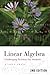 Linear Algebra: Challenging...