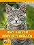 Was Katzen wirklich wollen (Heimtier) (German Edition)