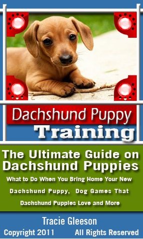 dachshund puppy training