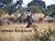 African Adventures