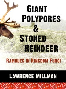 Giant Polypores & Stoned Reindeer: Rambles in Kingdom Fungi (Paperback)