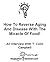 How To Reverse Aging And Di...