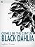 Black Dahlia: An Unsolved M...