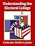 Understanding the Electoral...