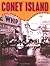 Coney Island by Michael Immerso