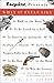 Esquire Presents by A.J. Jacobs